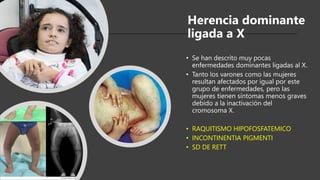 Herencia dominante
ligada a X
• Se han descrito muy pocas
enfermedades dominantes ligadas al X.
• Tanto los varones como las mujeres
resultan afectados por igual por este
grupo de enfermedades, pero las
mujeres tienen síntomas menos graves
debido a la inactivación del
cromosoma X.
• RAQUITISMO HIPOFOSFATEMICO
• INCONTINENTIA PIGMENTI
• SD DE RETT
 