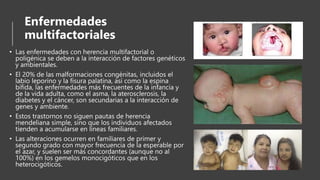 Enfermedades
multifactoriales
• Las enfermedades con herencia multifactorial o
poligénica se deben a la interacción de factores genéticos
y ambientales.
• El 20% de las malformaciones congénitas, incluidos el
labio leporino y la fisura palatina, así como la espina
bífida, las enfermedades más frecuentes de la infancia y
de la vida adulta, como el asma, la aterosclerosis, la
diabetes y el cáncer, son secundarias a la interacción de
genes y ambiente.
• Estos trastornos no siguen pautas de herencia
mendeliana simple, sino que los individuos afectados
tienden a acumularse en líneas familiares.
• Las alteraciones ocurren en familiares de primer y
segundo grado con mayor frecuencia de la esperable por
el azar, y suelen ser más concordantes (aunque no al
100%) en los gemelos monocigóticos que en los
heterocigóticos.
 