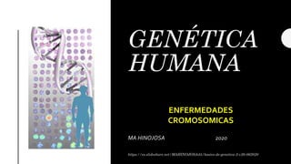 GENÉTICA
HUMANA
MA HINOJOSA 2020
https://es.slideshare.net/MAHINOJOSA45/basico-de-genetica-2-v20-062020
ENFERMEDADES
CROMOSOMICAS
 