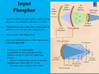 Input
Phosphor
• Layer of sodium activated cesium iodide (CsI:Na)
for good x-ray absorption efficiency (70-90%)
• Channelled into tiny needle-like crystals (5µm in
diameter) with fibreoptic-like characteristics
• CsI:Na usually 400-500µm thick
• Each x-ray photon produces ~3000 light photons
in the blue spectrum
1. Constructed of cesium iodide.
2. Responsible for converting the incident
photon’s energy to a burst of visible light
photon.
◦ Similar to intensifying screens in cassettes.
3. Standard size varies from 10 - 35 cm.
◦ Normally used to identify the II tubes.
 