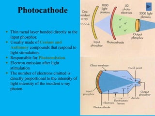 Photocathode
 Thin metal layer bonded directly to the
input phosphor.
 Usually made of Cesium and
Antimony compounds that respond to
light stimulation.
 Responsible for Photoemission.
 Electron emission after light
stimulation
 The number of electrons emitted is
directly proportional to the intensity of
light intensity of the incident x-ray
photon.
 