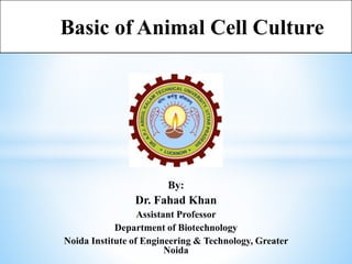 By:
Dr. Fahad Khan
Assistant Professor
Department of Biotechnology
Noida Institute of Engineering & Technology, Greater
Noida
Basic of Animal Cell Culture
 