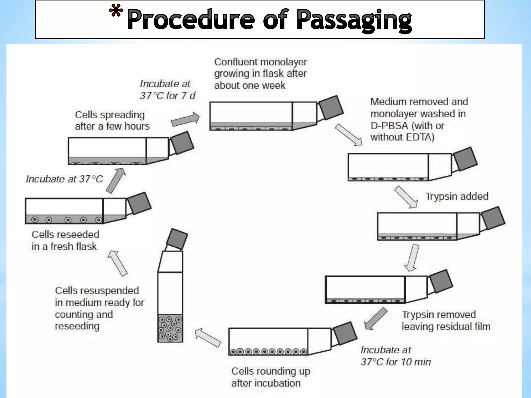 Basic of animal cell culture part iii | PPTX