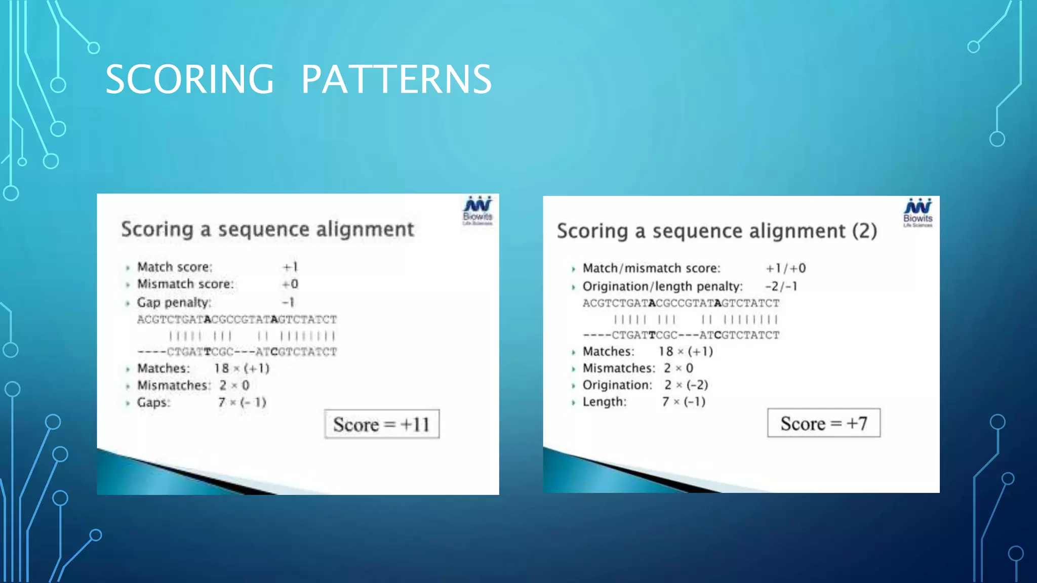 BASIC OF BIOINFORMATICS.pptx