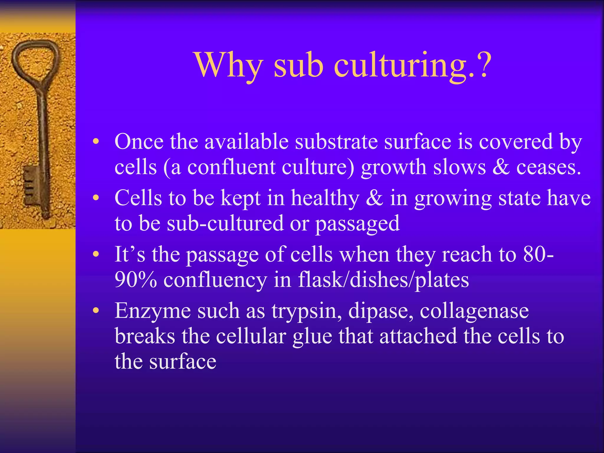Why sub culturing.?
• Once the available substrate surface is covered by
cells (a confluent culture) growth slows & ceases.
• Cells to be kept in healthy & in growing state have
to be sub-cultured or passaged
• It’s the passage of cells when they reach to 80-
90% confluency in flask/dishes/plates
• Enzyme such as trypsin, dipase, collagenase
breaks the cellular glue that attached the cells to
the surface
 