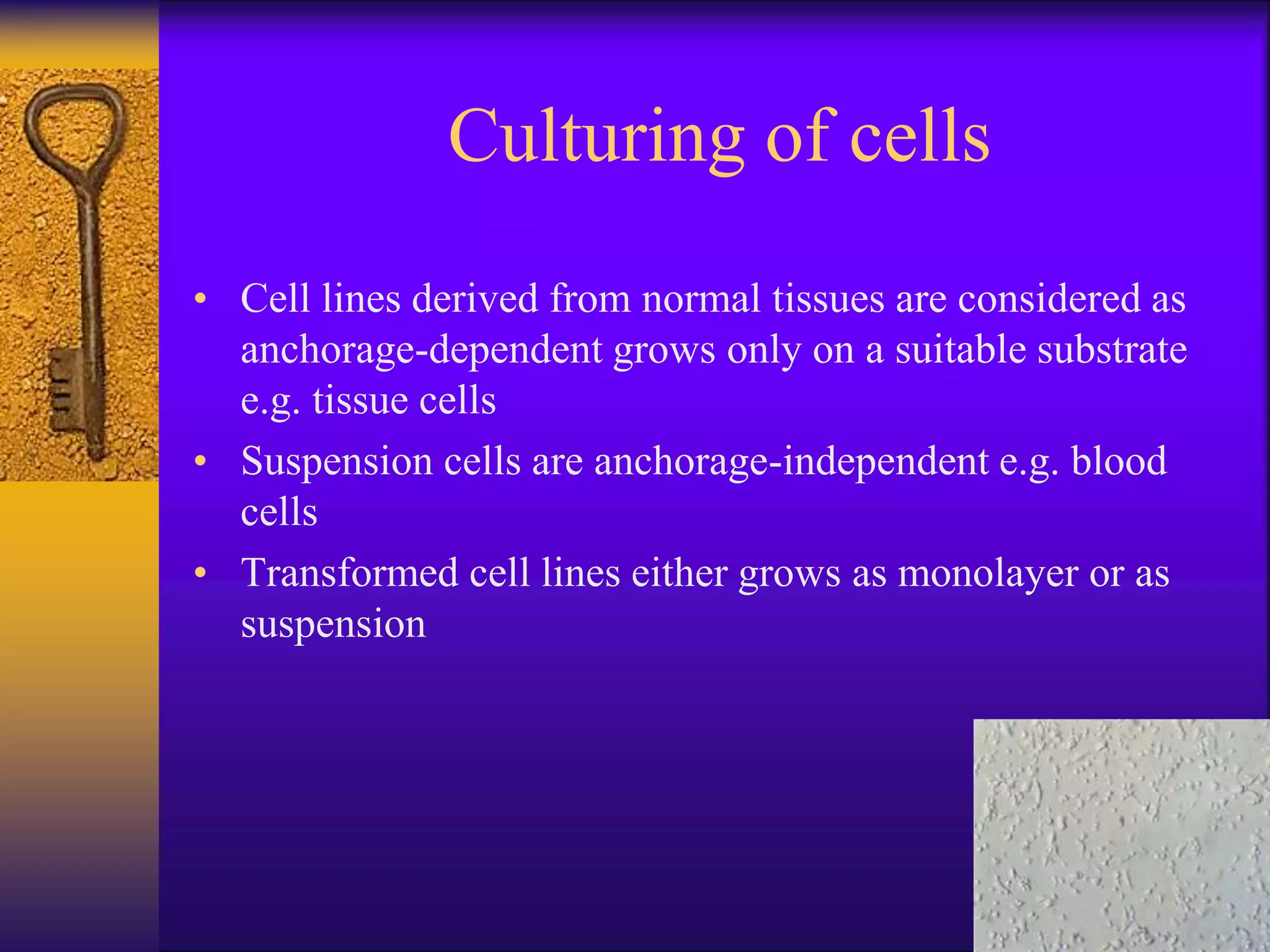 Culturing of cells
• Cell lines derived from normal tissues are considered as
anchorage-dependent grows only on a suitable substrate
e.g. tissue cells
• Suspension cells are anchorage-independent e.g. blood
cells
• Transformed cell lines either grows as monolayer or as
suspension
 