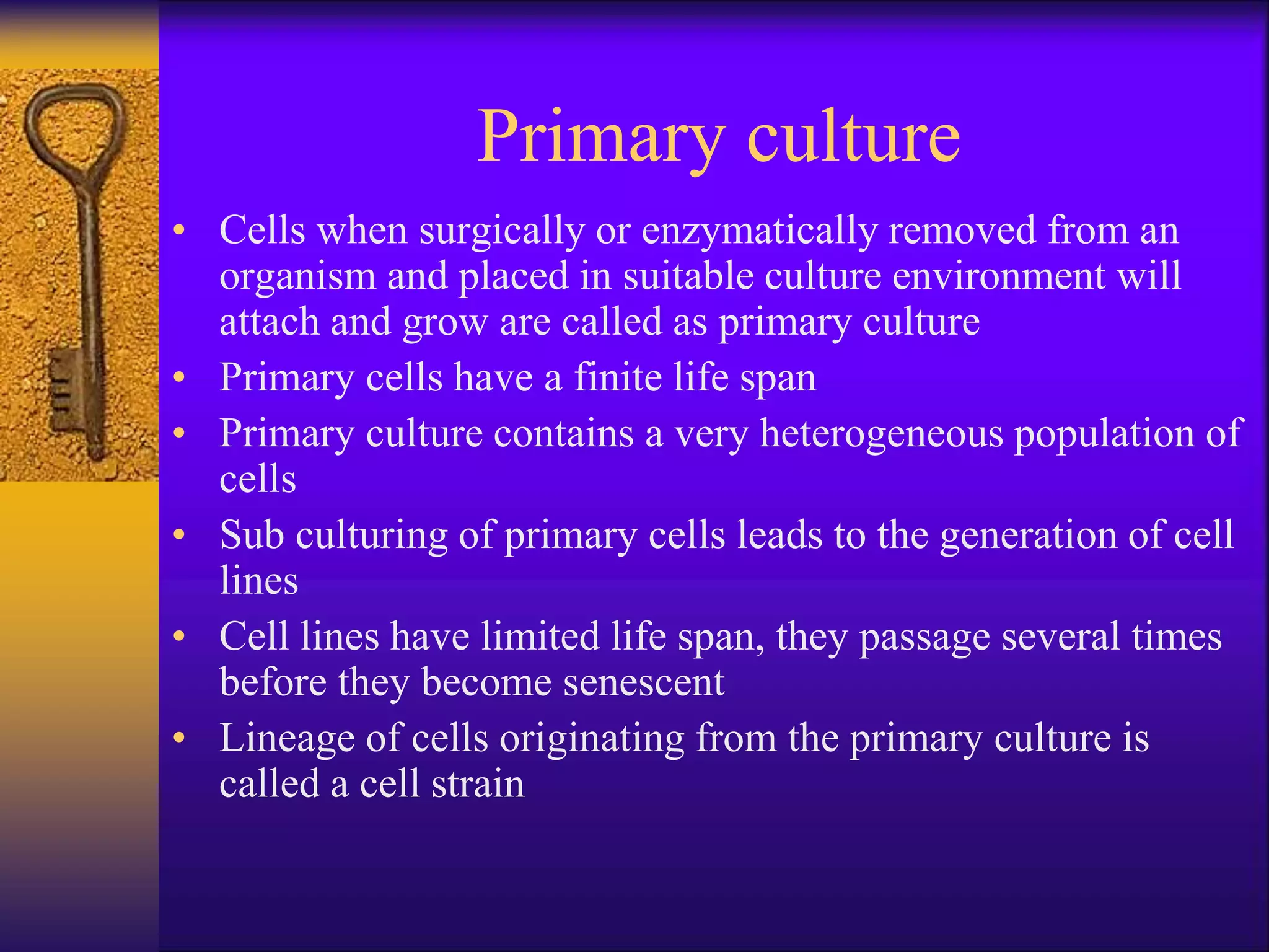 Primary culture
• Cells when surgically or enzymatically removed from an
organism and placed in suitable culture environment will
attach and grow are called as primary culture
• Primary cells have a finite life span
• Primary culture contains a very heterogeneous population of
cells
• Sub culturing of primary cells leads to the generation of cell
lines
• Cell lines have limited life span, they passage several times
before they become senescent
• Lineage of cells originating from the primary culture is
called a cell strain
 