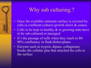 Why sub culturing.?
• Once the available substrate surface is covered by
cells (a confluent culture) growth slows & ceases.
• Cells to be kept in healthy & in growing state have
to be sub-cultured or passaged
• It’s the passage of cells when they reach to 80-
90% confluency in flask/dishes/plates
• Enzyme such as trypsin, dipase, collagenase
breaks the cellular glue that attached the cells to
the surface
 