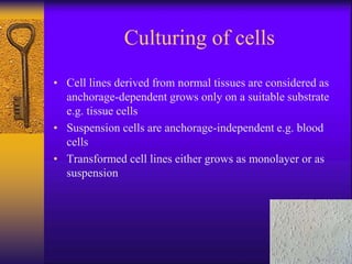Culturing of cells
• Cell lines derived from normal tissues are considered as
anchorage-dependent grows only on a suitable substrate
e.g. tissue cells
• Suspension cells are anchorage-independent e.g. blood
cells
• Transformed cell lines either grows as monolayer or as
suspension
 