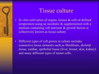 Tissue culture
• In vitro cultivation of organs, tissues & cells at defined
temperature using an incubator & supplemented with a
medium containing cell nutrients & growth factors is
collectively known as tissue culture
• Different types of cell grown in culture includes
connective tissue elements such as fibroblasts, skeletal
tissue, cardiac, epithelial tissue (liver, breast, skin, kidney)
and many different types of tumor cells.
 