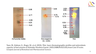 Basic Separation and Chromatographic Methods | PDF