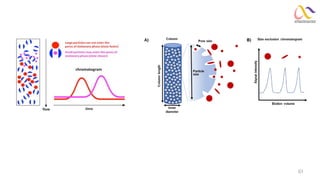 Basic Separation and Chromatographic Methods | PDF