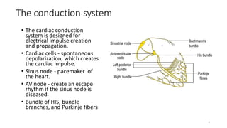 The conduction system
4
• The cardiac conduction
system is designed for
electrical impulse creation
and propagation.
• Cardiac cells - spontaneous
depolarization, which creates
the cardiac impulse.
• Sinus node - pacemaker of
the heart.
• AV node - create an escape
rhythm if the sinus node is
diseased.
• Bundle of HIS, bundle
branches, and Purkinje fibers
 
