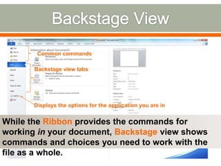 File, Home, Insert are same in all applications