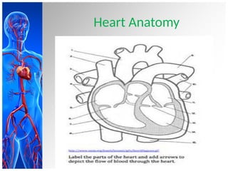 Comprehensive Overview of Hemodynamics and Cardiac Monitoring ...