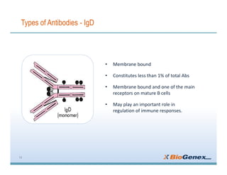 Types of Antibodies - IgD
14
• Membrane bound
• Constitutes less than 1% of total Abs
• Membrane bound and one of the main
receptors on mature B cells
• May play an important role in
regulation of immune responses.
 