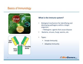 Basics of Immunology
What is the immune system?
• Biological mechanism for identifying and
destroying pathogens within a larger
organism.
– Pathogens: agents that cause disease
• Bacteria, viruses, fungi, worms, etc.
• Types:
• Innate Immunity
• Adaptive Immunity
3
 