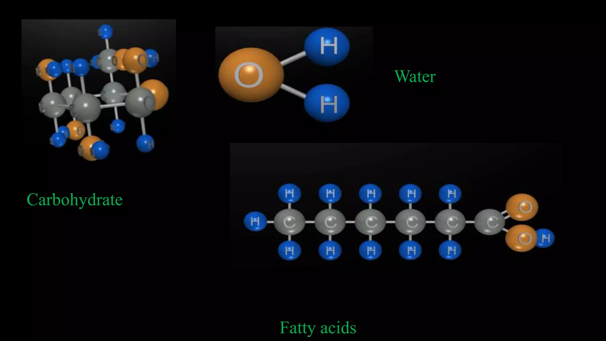 Carbohydrate
Water
Fatty acids
 