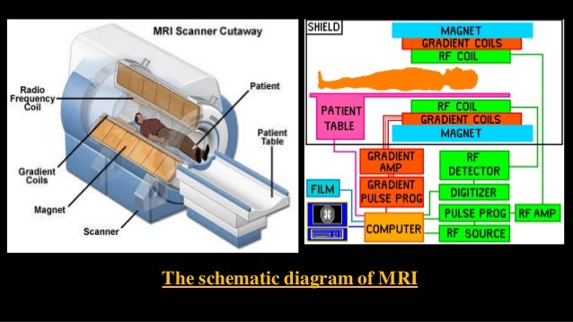 Mri Circuit Diagram