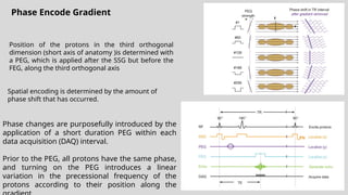 Basic of Magnetic Resonance Imaging Ppt. | PPTX