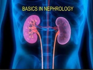 Basic of Nephrology for nursing students.pptx