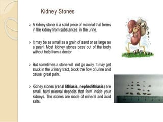 Basic of Nephrology for nursing students.pptx