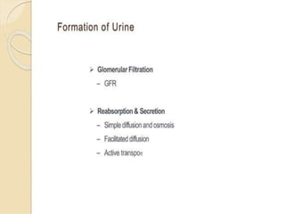 Basic of Nephrology for nursing students.pptx