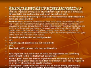 Proliferate Examples basic of oncology awreness to general public for .ppt