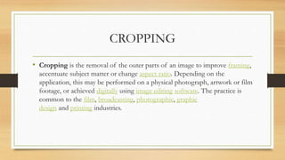 Cropping Vs Rearranging Basic of photo editing | PPTX