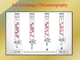 Basic of phytochemistry