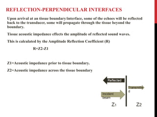 REFLECTION-PERPENDICULAR INTERFACES
Upon arrival at an tissue boundary/interface, some of the echoes will be reflected
back to the transducer, some will propagate through the tissue beyond the
boundary.
Tissue acoustic impedance effects the amplitude of reflected sound waves.
This is calculated by the Amplitude Reflection Coefficient (R)
R=Z2-Z1
Z1=Acoustic impedance prior to tissue boundary.
Z2=Acoustic impedance across the tissue boundary
 