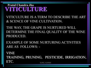 Pratul Chandra Jha

VITICULTURE
VITICULTURE IS A TERM TO DESCRIBE THE ART
& SCENCE OF VINE CULTIVATION.
THE WAY, THE GRAPE IS NURTURED WILL
DETERMINE THE FINAL QUALITY OF THE WINE
PRODUCED.
EXAMPLE OF SOME NURTURING ACTIVITIES
ARE AS FOLLOWS: -

VINE
TRAINING, PRUNING, PESTICIDE, IRRIGATION,
ETC.
SUNIL KUMAR

 