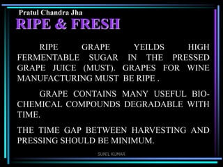 Pratul Chandra Jha

RIPE & FRESH
RIPE
GRAPE
YEILDS
HIGH
FERMENTABLE SUGAR IN THE PRESSED
GRAPE JUICE (MUST). GRAPES FOR WINE
MANUFACTURING MUST BE RIPE .
GRAPE CONTAINS MANY USEFUL BIOCHEMICAL COMPOUNDS DEGRADABLE WITH
TIME.

THE TIME GAP BETWEEN HARVESTING AND
PRESSING SHOULD BE MINIMUM.
SUNIL KUMAR

 