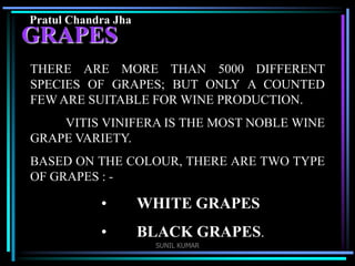 Pratul Chandra Jha

GRAPES

THERE ARE MORE THAN 5000 DIFFERENT
SPECIES OF GRAPES; BUT ONLY A COUNTED
FEW ARE SUITABLE FOR WINE PRODUCTION.
VITIS VINIFERA IS THE MOST NOBLE WINE
GRAPE VARIETY.
BASED ON THE COLOUR, THERE ARE TWO TYPE
OF GRAPES : -

•

WHITE GRAPES

•

BLACK GRAPES.
SUNIL KUMAR

 