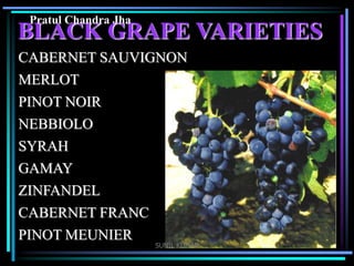 Pratul Chandra Jha

BLACK GRAPE VARIETIES
CABERNET SAUVIGNON
MERLOT

PINOT NOIR
NEBBIOLO
SYRAH
GAMAY
ZINFANDEL
CABERNET FRANC
PINOT MEUNIER

SUNIL KUMAR

 