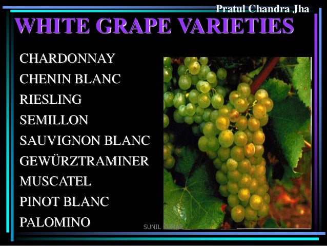 with wine made nebbiolo grapes wine Basic of with wine made nebbiolo grapes wine Basic of