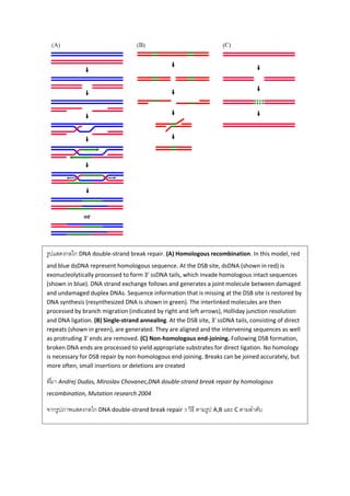 Basic oncology | PDF
