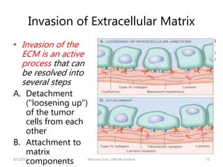 Basic Oncology.pptx