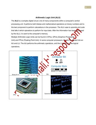 Basic operations of computer my assignment | PDF
