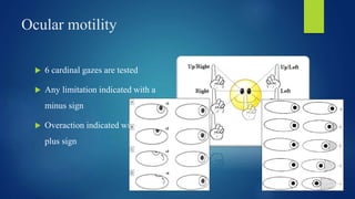 Basic ophthalmological examination in OPD | PPTX