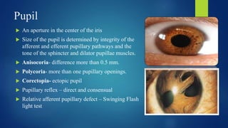 Polykorie Basic ophthalmological examination in OPD | PPTX