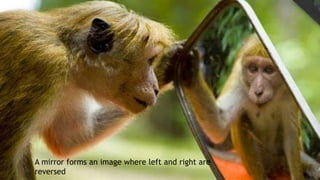 A mirror forms an image where left and right are
reversed
 