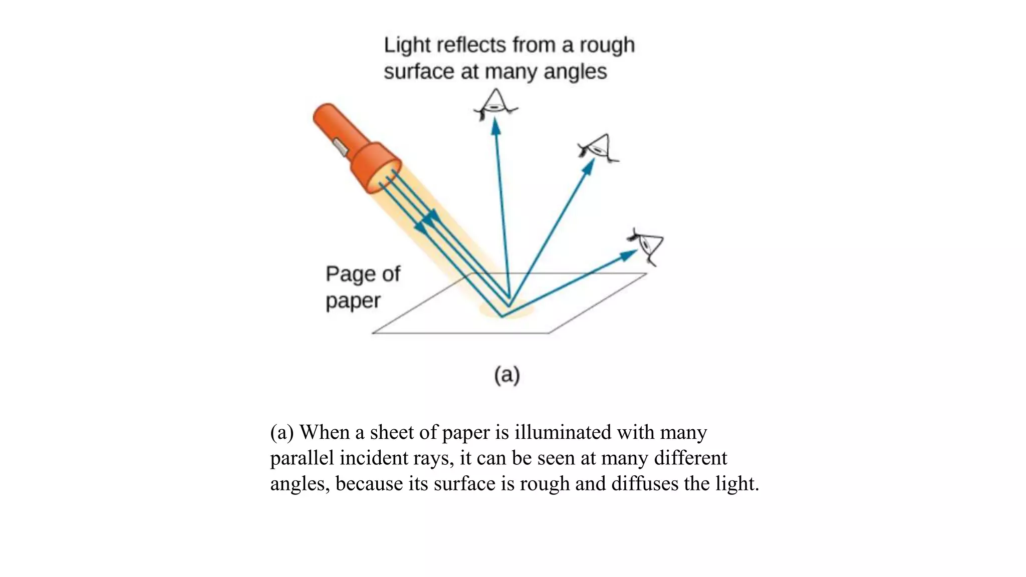 (a) When a sheet of paper is illuminated with many
parallel incident rays, it can be seen at many different
angles, because its surface is rough and diffuses the light.
 