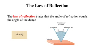 The Law of Reflection
The law of reflection states that the angle of reflection equals
the angle of incidence
 
