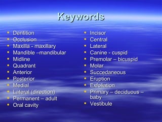 Keywords Dentition Occlusion Maxilla - maxillary Mandible –mandibular Midline Quadrant Anterior Posterior Medial Lateral (direction) Permanent – adult Oral cavity Incisor Central Lateral Canine - cuspid Premolar – bicuspid Molar Succedaneous Eruption Exfoliation Primary – deciduous – baby Vestibule 