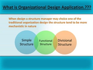 Basic Organizational Design | PPTX