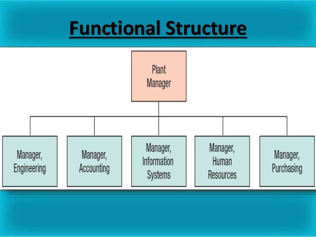 basic organizational design basic organizational structure
