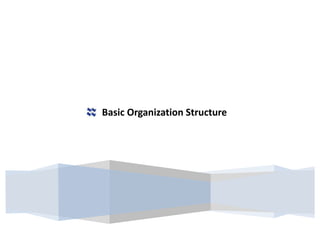 Basic Organization Structure

 