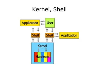 Kernel, Shell
 