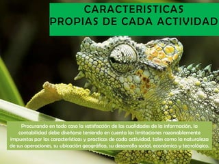 CARACTERISTICAS
                  PROPIAS DE CADA ACTIVIDAD




     Procurando en todo caso la satisfacción de las cualidades de la información, la
    contabilidad debe diseñarse teniendo en cuenta las limitaciones razonablemente
impuestas por las características y practicas de cada actividad, tales como la naturaleza
de sus operaciones, su ubicación geográfica, su desarrollo social, económico y tecnológico.
 